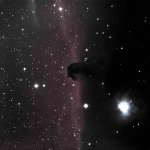 Horsehead Nebula 15 Minute RGB by Thurston Searfoss