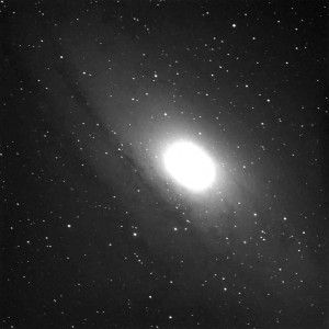 M31 5 Minute L by Scott Mitchell